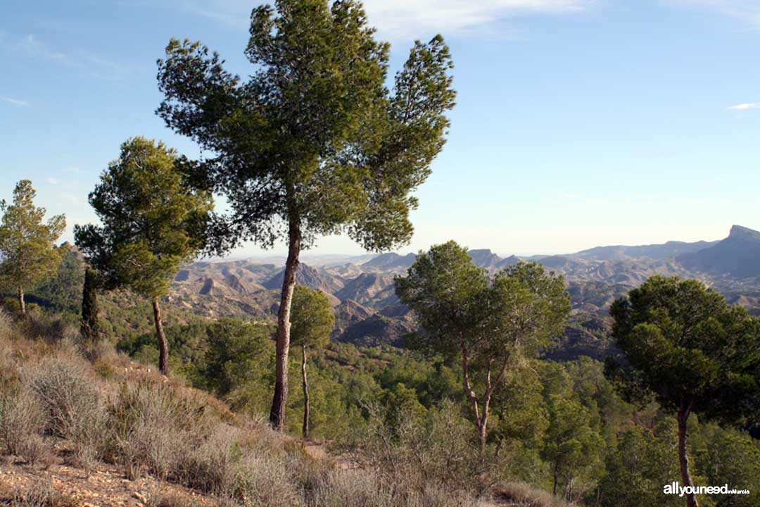 Barranco del Sordo Viewpoint