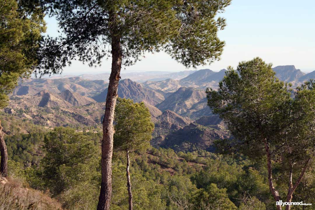 Barranco del Sordo Viewpoint