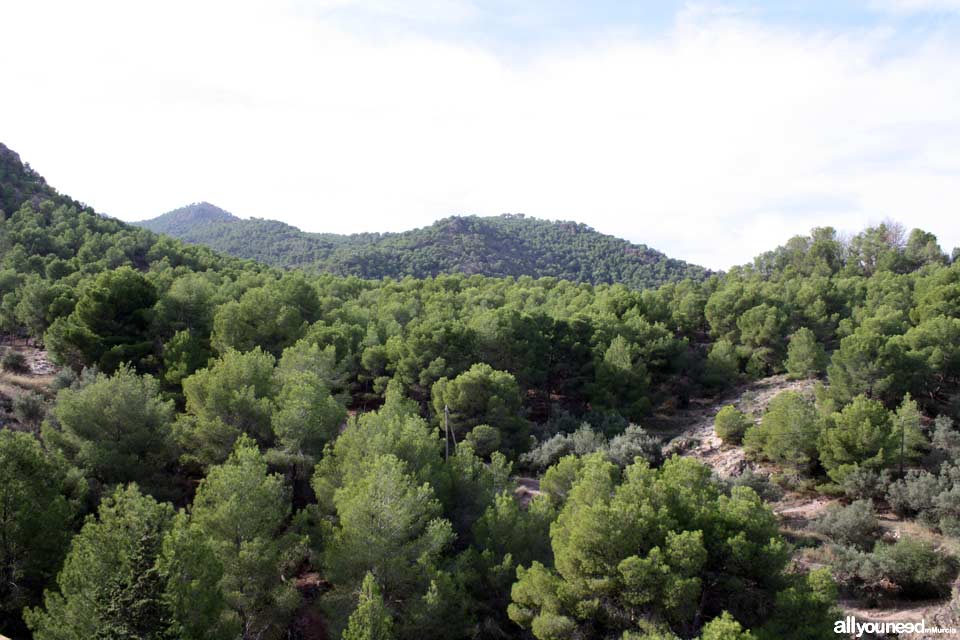 El Valle and Carrascoy Regional Park