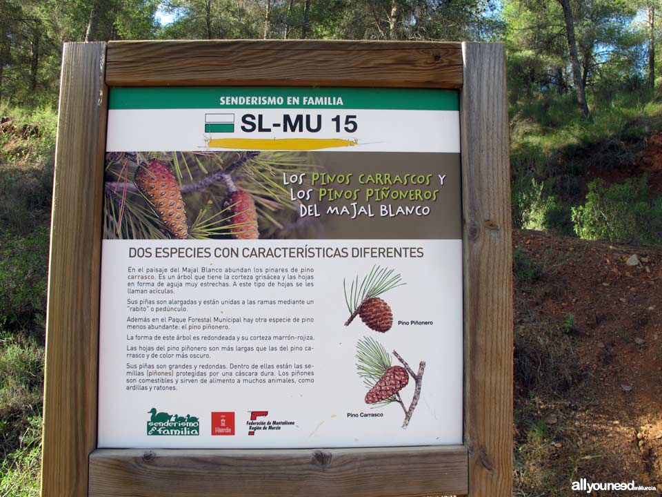 Majal Blanco Tourist Information Point. Pathway. El Valle y Carrascoy Regional Park