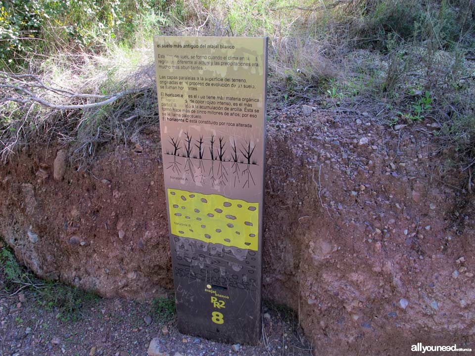 Majal Blanco Tourist Information Point. Pathway. El Valle y Carrascoy Regional Park