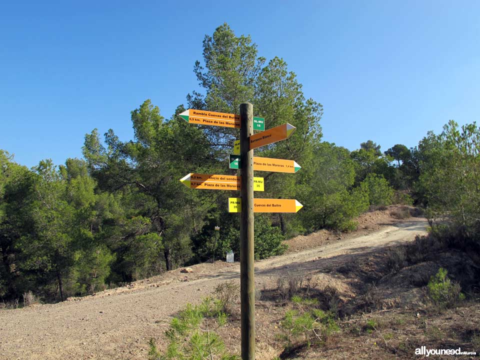 Majal Blanco Tourist Information Point. Pathway. El Valle y Carrascoy Regional Park