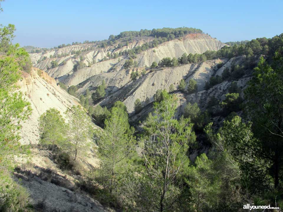 Ruta Barranco Blanco PR-MU52. Majal Blanco.Senderismo en Murcia