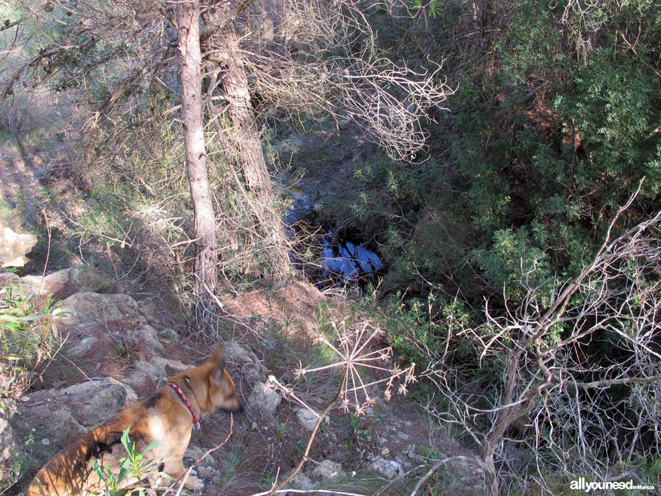 Ruta Barranco Blanco PR-MU52. Majal Blanco.Senderismo en Murcia