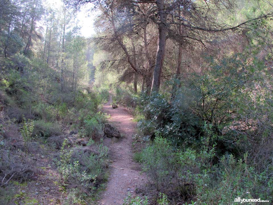 Barranco Blanco pathway. PR-MU52