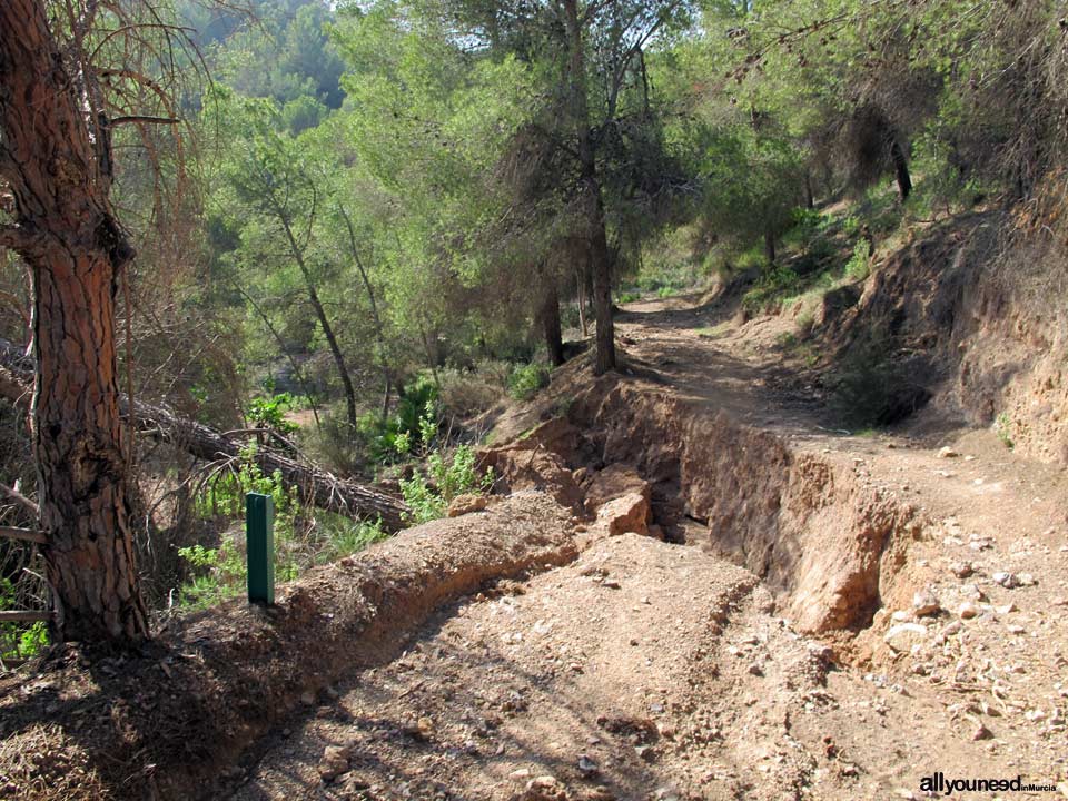 Ruta Barranco Blanco PR-MU52. Majal Blanco.Senderismo en Murcia