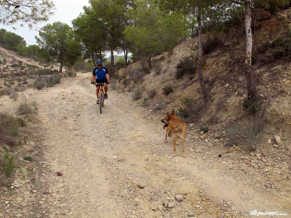 Ruta Barranco Blanco PR-MU52. Majal Blanco.Senderismo en Murcia