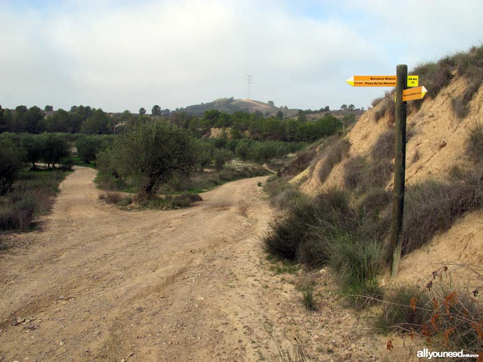 Ruta Barranco Blanco PR-MU52. Majal Blanco.Senderismo en Murcia