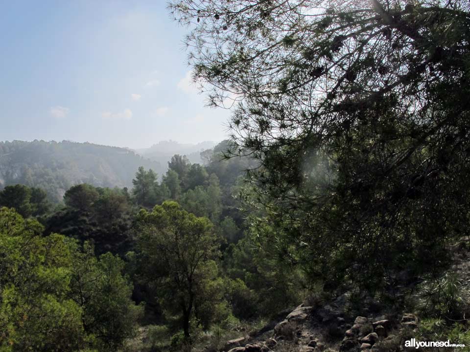 Barranco Blanco pathway. PR-MU52