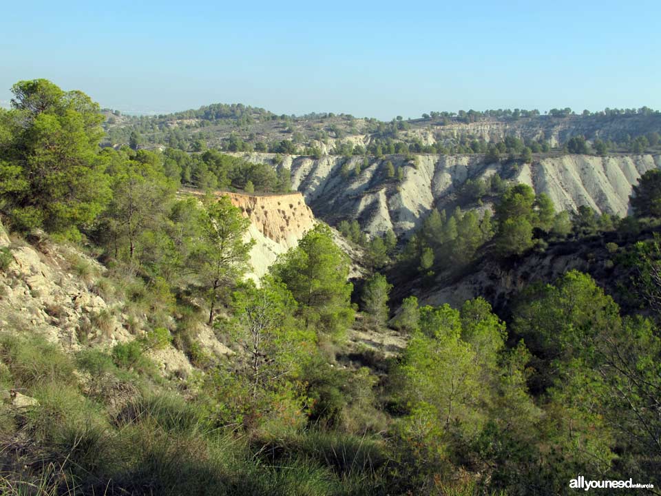 Ruta Barranco Blanco PR-MU52. Majal Blanco.Senderismo en Murcia