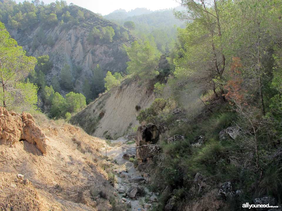 Barranco Blanco pathway. PR-MU52