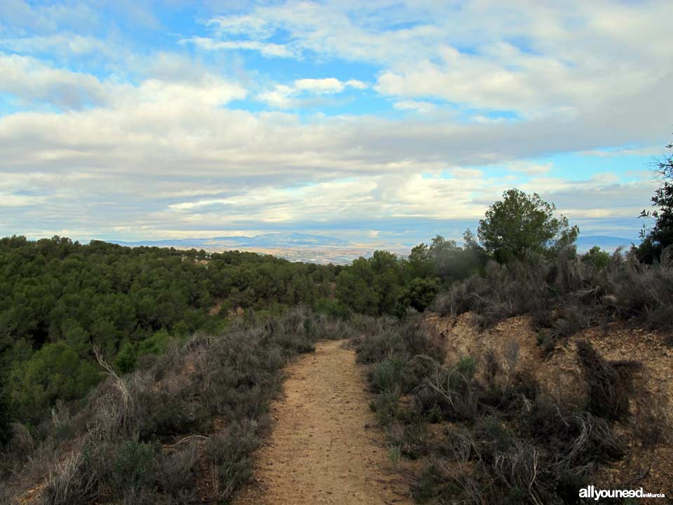 Barranco de los Cañones pathway. PR-MU53