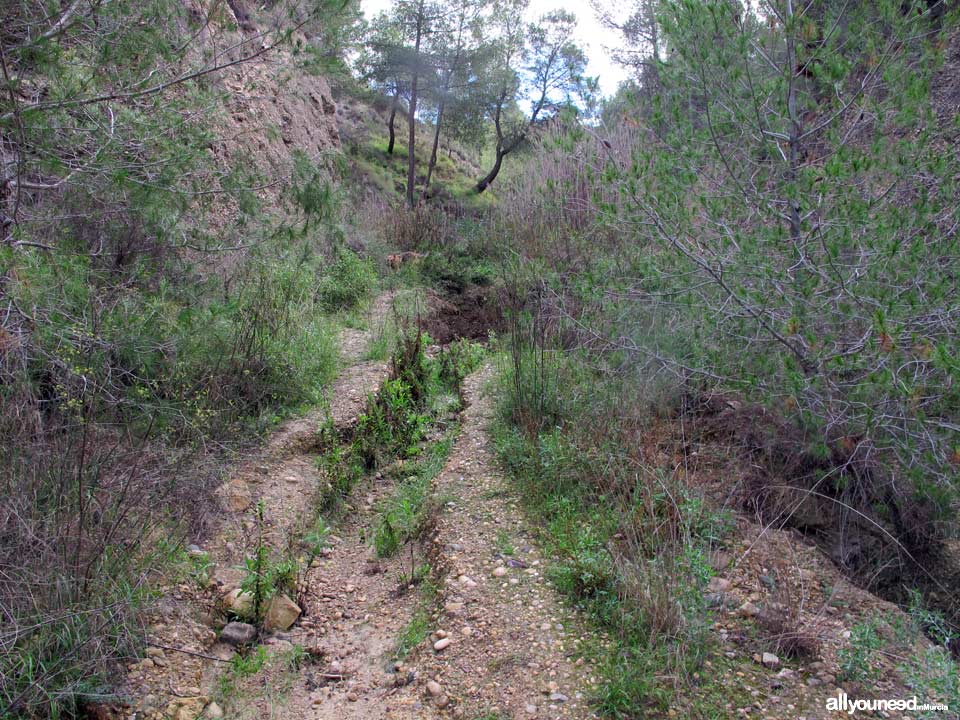 Barranco de los Cañones pathway. PR-MU53
