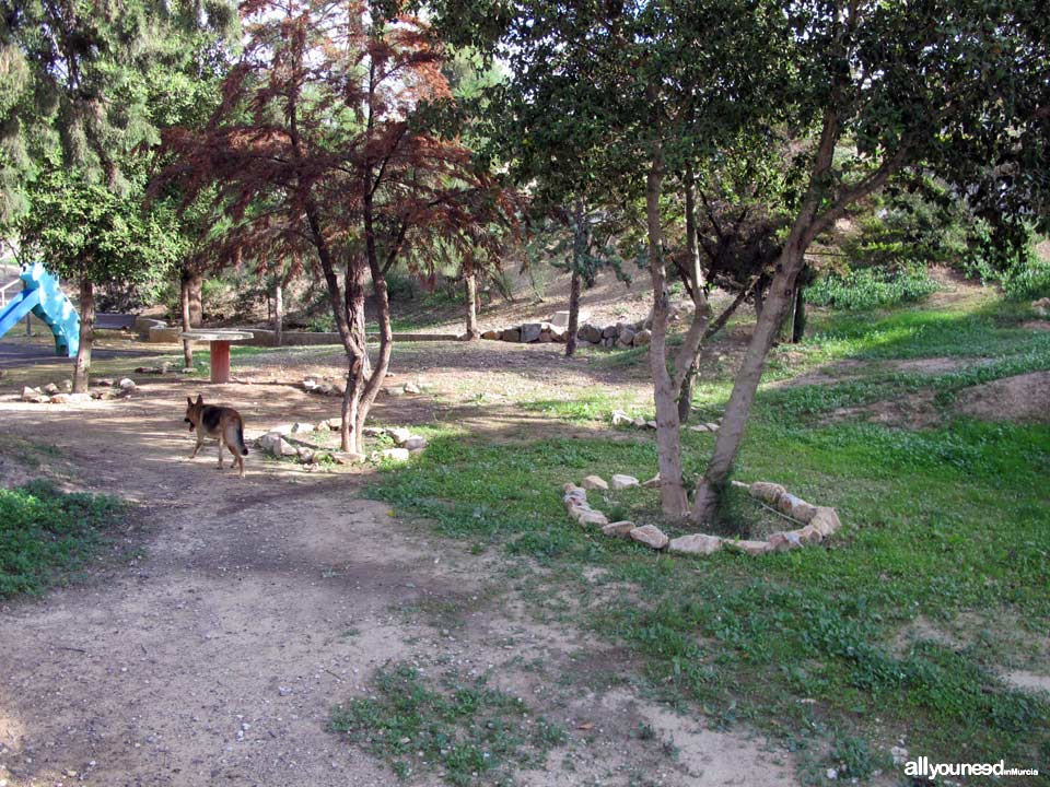 Barranco de los Cañones pathway. PR-MU53