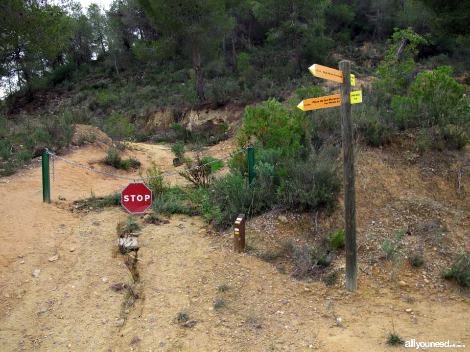 Barranco de los Cañones. Rutas por el Majal Blanco