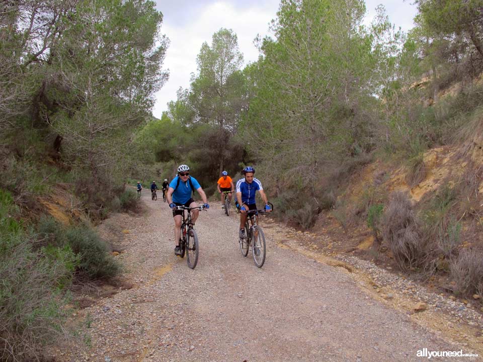 Barranco de los Cañones. Rutas por el Majal Blanco