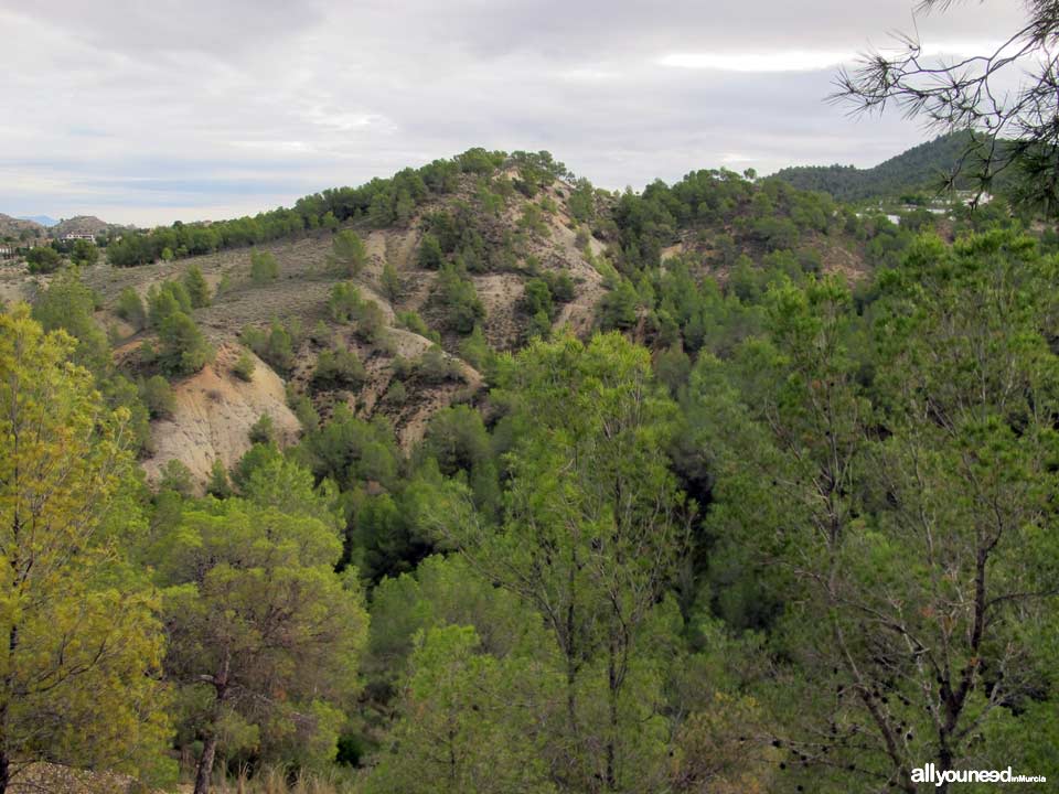 Barranco de los Cañones pathway. PR-MU53