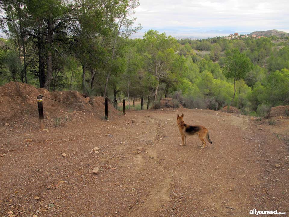 Barranco de los Cañones. Rutas por el Majal Blanco