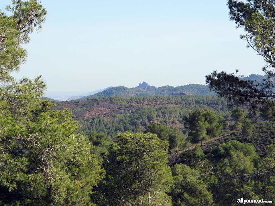 Camino de los Arejos pathway. PR-MU34