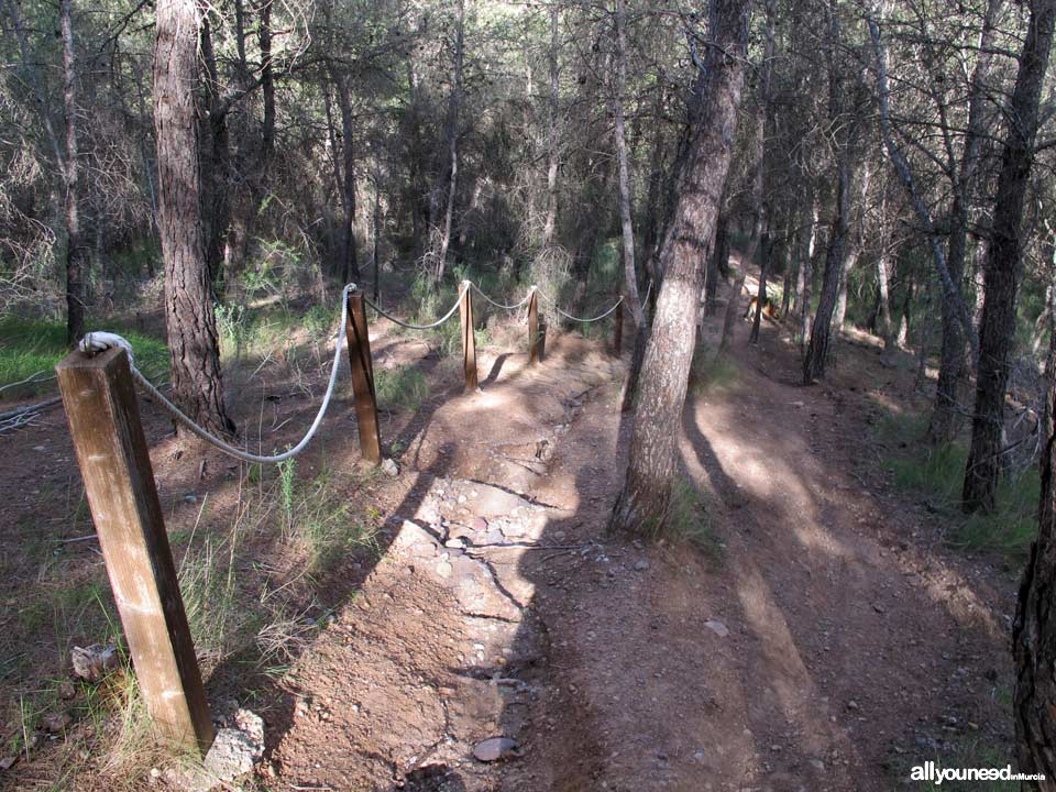 Camino de los Arejos. PR-MU34