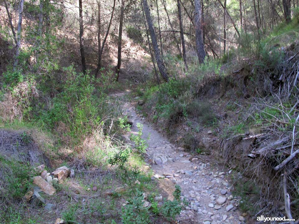 Camino de los Arejos pathway. PR-MU34