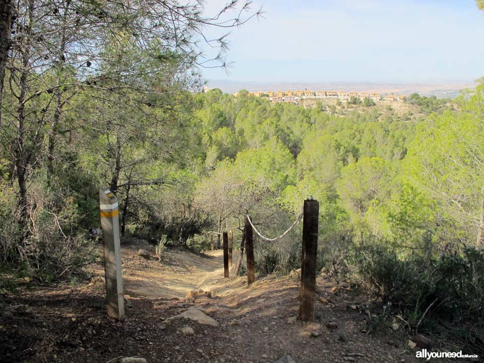 Camino de los Arejos. PR-MU34