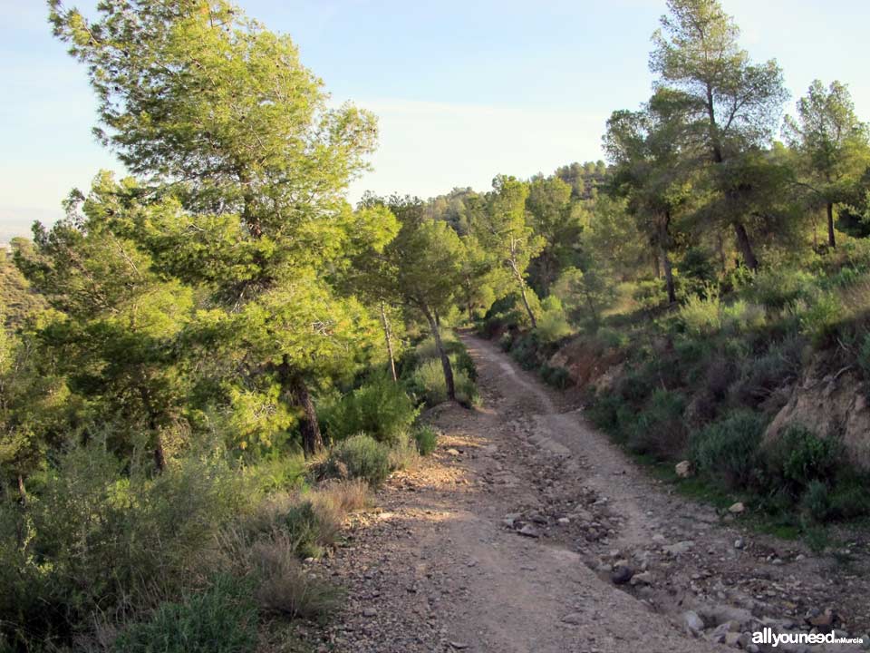 Camino de los Arejos pathway. PR-MU34