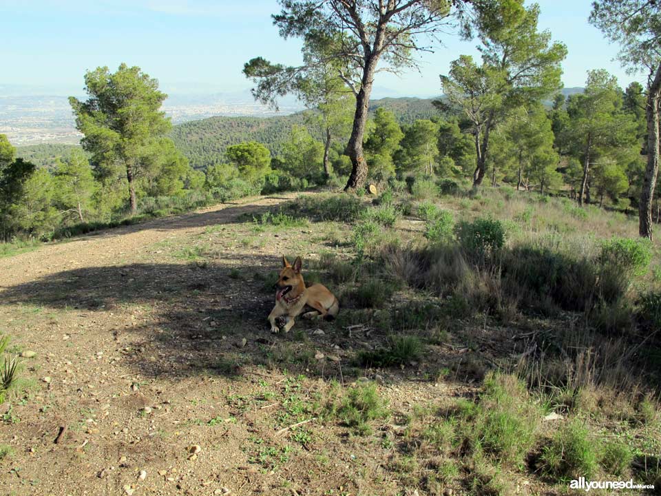 Camino de los Arejos pathway. PR-MU34