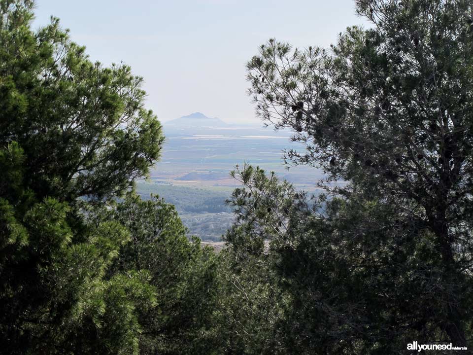 Camino de los Arejos. PR-MU34