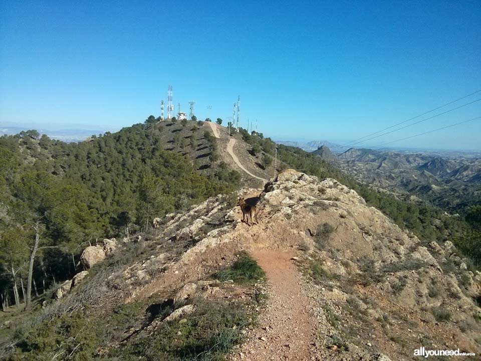 Route from Venta los civiles to Pico del Relojero. Section of trail PR-MU23