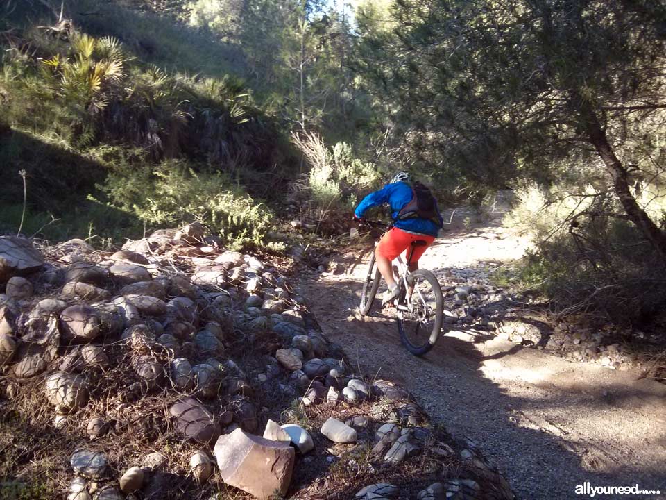 Route from Venta los civiles to Pico del Relojero. Section of trail PR-MU23