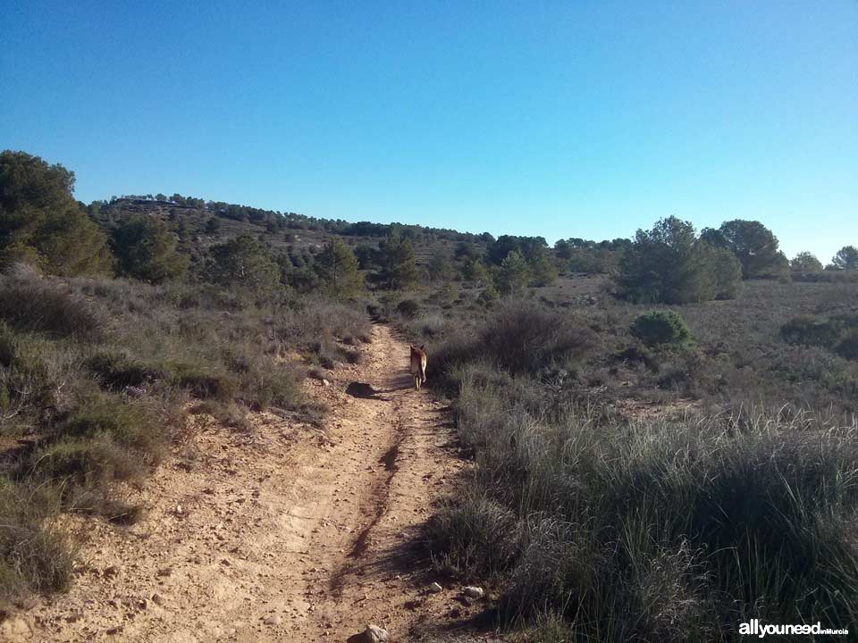 Route from Venta los civiles to Pico del Relojero. Section of trail PR-MU23