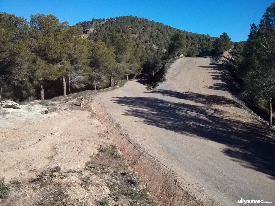 Route from Venta los civiles to Pico del Relojero. Section of trail PR-MU23