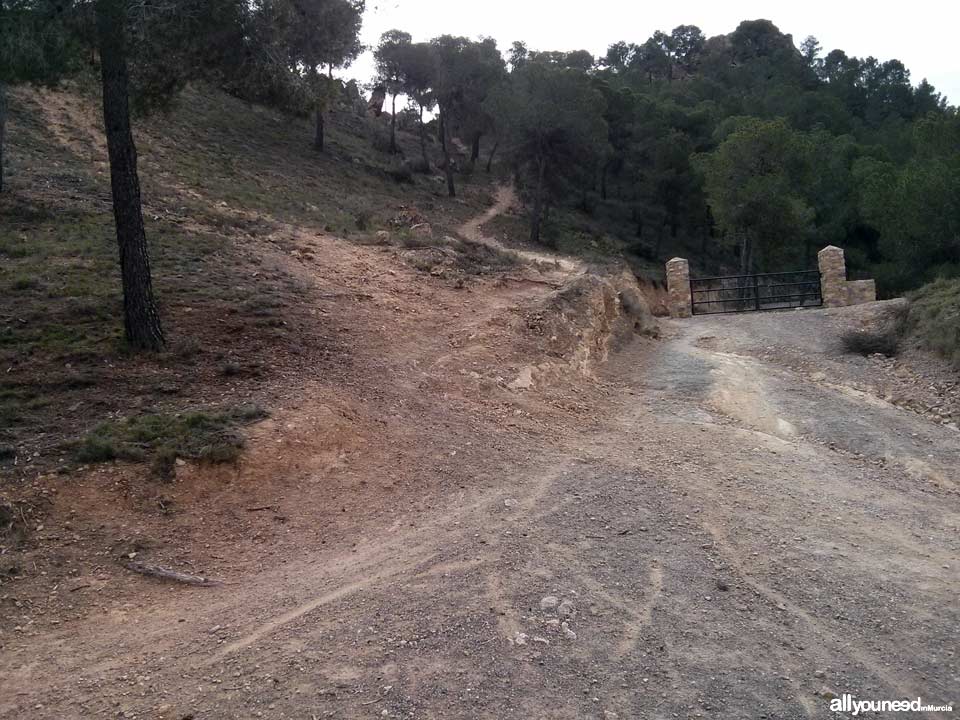 Ruta Albergue del Valle - Senda de las Columnas - Pico del Relojero. Segundo sendero de subida al Relojero