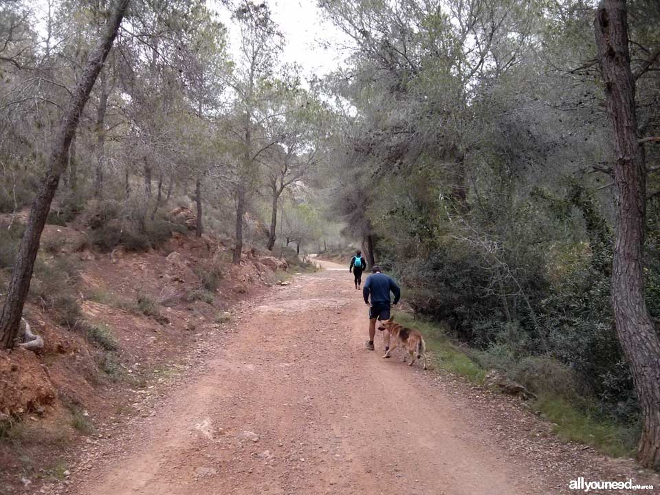 Ruta Albergue del Valle - Senda de las Columnas - Pico del Relojero. Sendero de bajada