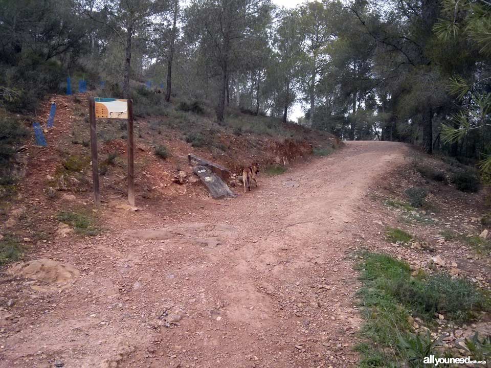 Ruta Albergue del Valle - Senda de las Columnas - Pico del Relojero. Comienzo senda de las Columnas