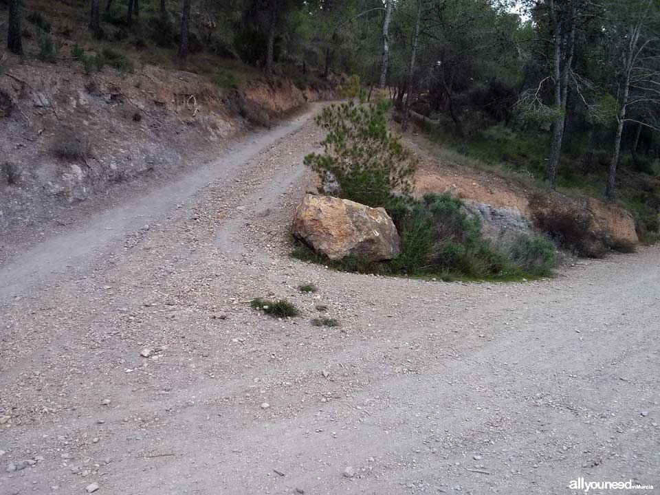Ruta Albergue del Valle - Senda de las Columnas - Pico del Relojero. Primer sendero de subida al Relojero