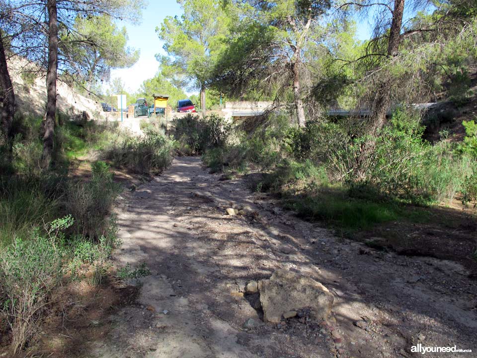 Sendero en Familia Alcalde Miguel Ángel Cámara. SL-MU15. El Majal Blanco