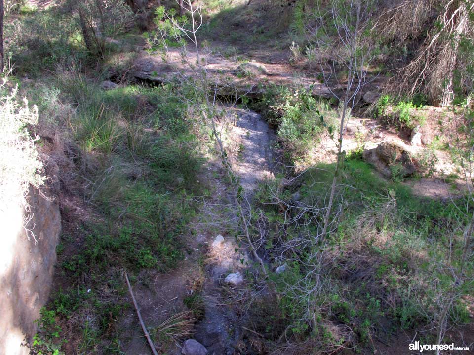 Sendero en Familia Alcalde Miguel Ángel Cámara. SL-MU15. El Majal Blanco