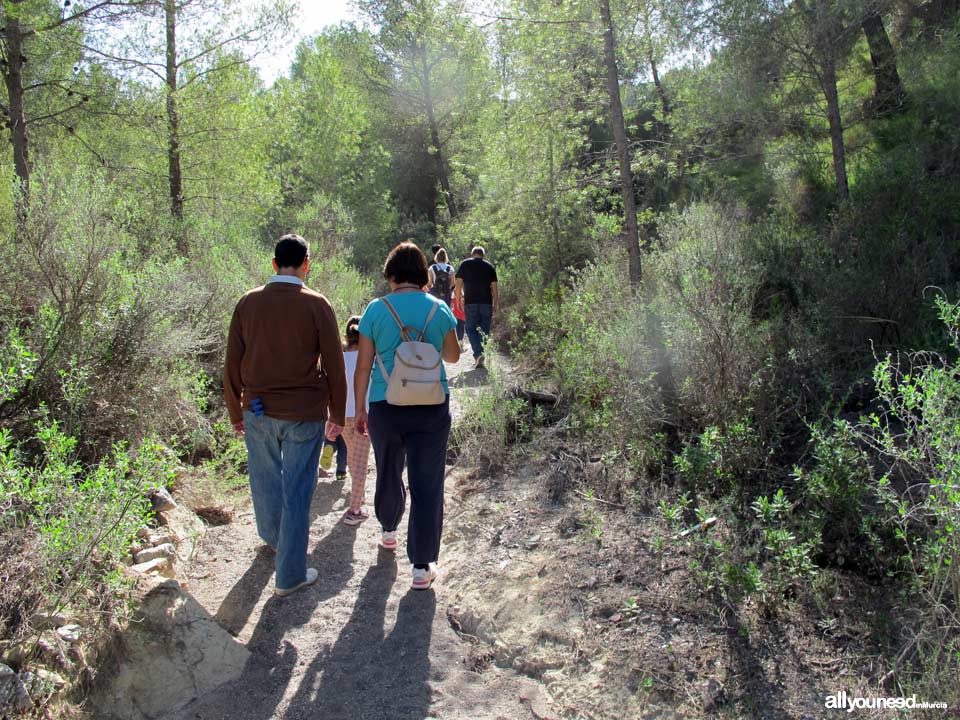 Sendero en Familia Alcalde Miguel Ángel Cámara. SL-MU15