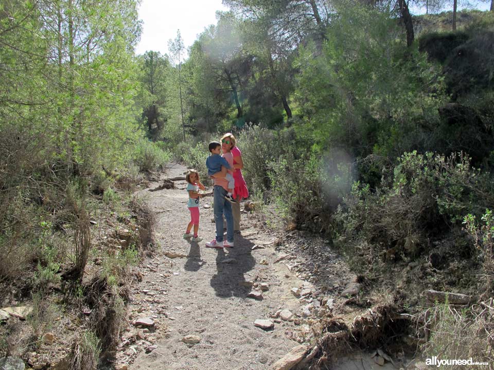 Trail of familia Alcalde Miguel Ángel Cámara. SL-MU15. Majal Blanco