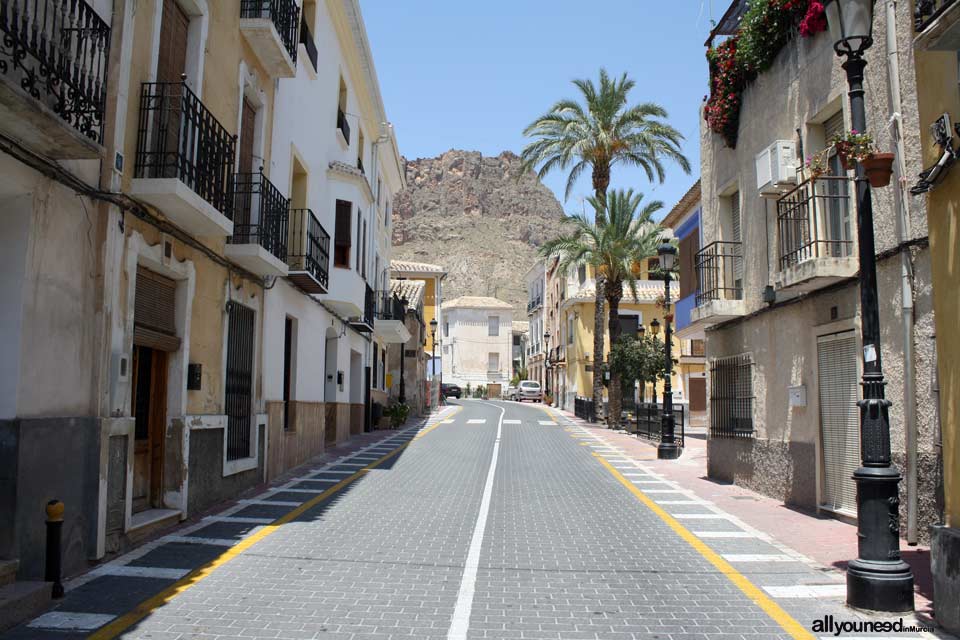 Mayor street in Ojós