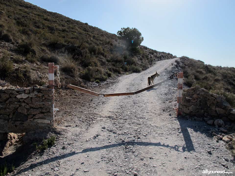 Ruta Calas el Bolete Grande, Boletes y Aguilar. Comienzo Ruta