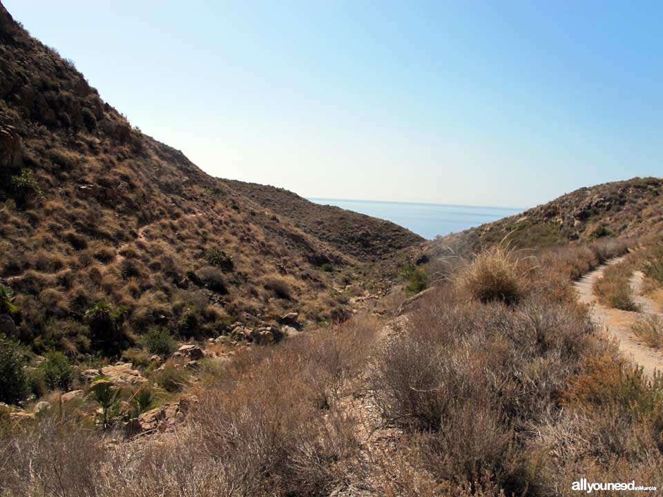 Route to the Coves of Bolete Grande, Boletes and Aguilar