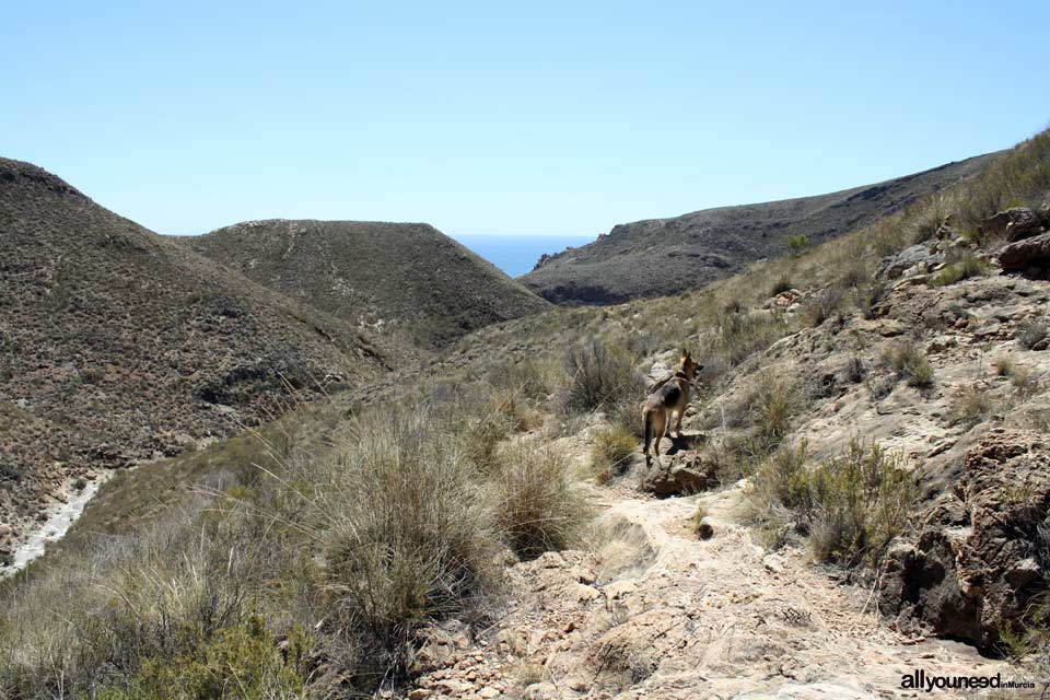 Route to the Coves of Bolete Grande, Boletes and Aguilar. Going to Bolete Grande