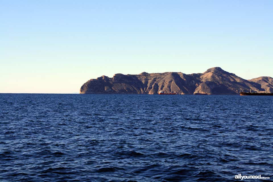 Cabo Tiñoso.