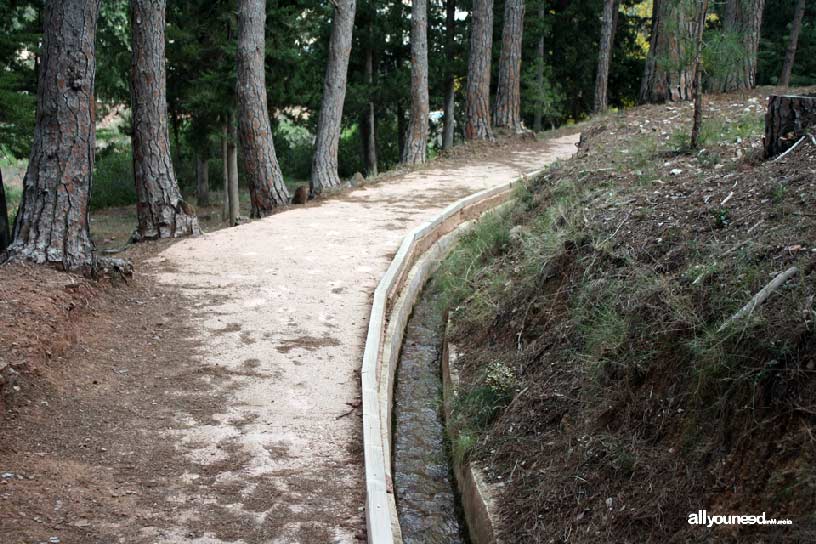 Sendero Ricardo Codorníu. SL-MU1. Caño de Espuña