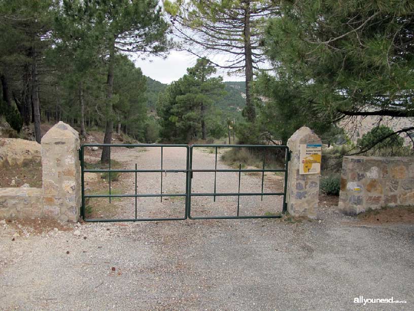 Pozos de la Nieve en Sierra Espuña. Collado Mangueta