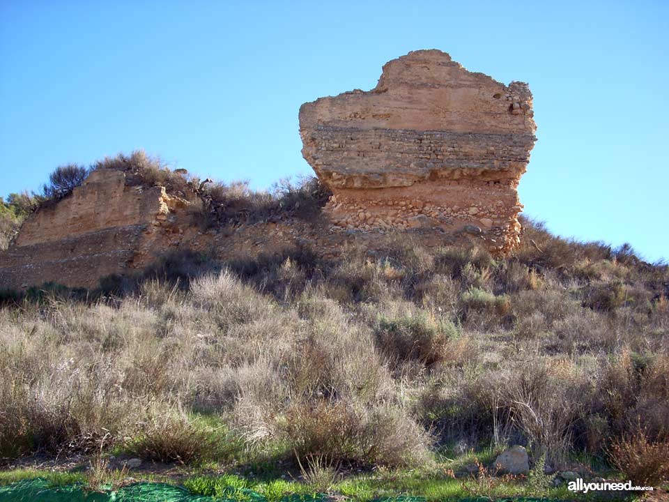 Castillo de las Paleras. Poblado de la Mota. Pliego