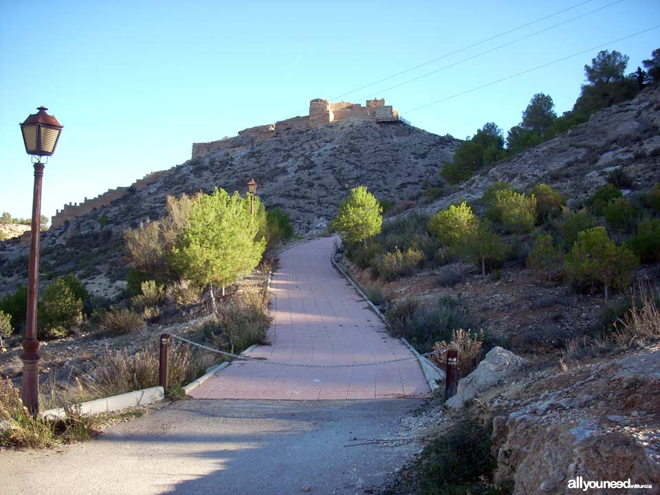 Castillo de Pliego. Castillos de Murcia